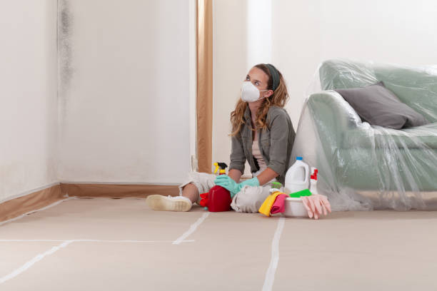Reliable Mold Testing contractor in Elon, NC by WQB Mold Removal